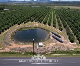 Rural / Farming commercial property for sale at 65895 Burke Developmental Road Dimbulah QLD 4872