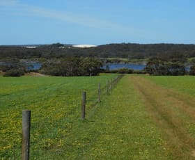 Rural / Farming commercial property for sale at 1137 Crabbs Road Seddon SA 5223