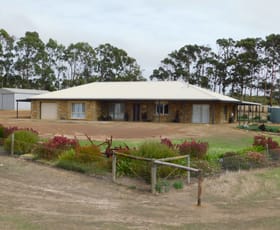 Rural / Farming commercial property for sale at 1137 Crabbs Road Seddon SA 5223