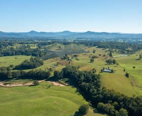 Rural / Farming commercial property for sale at 55 Lower Buckrabendinni Road Bowraville NSW 2449