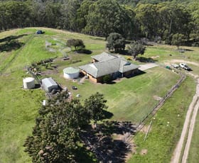 Rural / Farming commercial property for sale at 1465 Billirimba Road Tenterfield NSW 2372