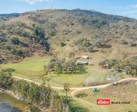 Rural / Farming commercial property sold at 3548 The Bridle Track Bruinbun NSW 2795