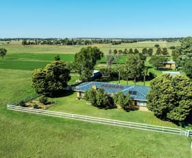 Rural / Farming commercial property for sale at Bunglegumbie Road Dubbo NSW 2830