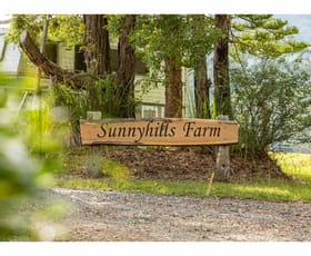 Rural / Farming commercial property for sale at 167 Herivels Road Wootton NSW 2423