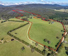 Rural / Farming commercial property sold at 65 Sawyers Ridge Road Reidsdale NSW 2622