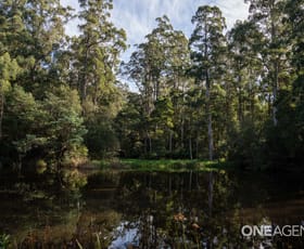 Rural / Farming commercial property sold at Lobster Creek Road West Ulverstone TAS 7315