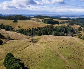 Rural / Farming commercial property sold at 1000 Kallady Road Madalya VIC 3971