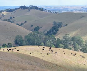 Rural / Farming commercial property sold at 1407 Foster-Mirboo Road Dollar VIC 3871
