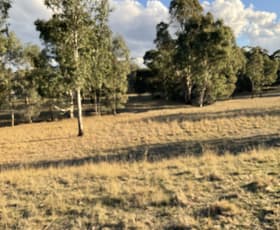 Rural / Farming commercial property for sale at Rocky Ridge Road Carapooee VIC 3477