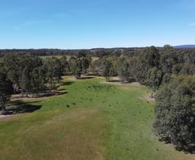 Rural / Farming commercial property for sale at Rocky Ridge Road Carapooee VIC 3477