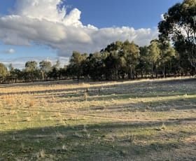 Rural / Farming commercial property for sale at Rocky Ridge Road Carapooee VIC 3477