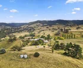 Rural / Farming commercial property sold at 80 Palmers Oakey Road Palmers Oaky NSW 2795