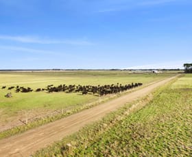 Rural / Farming commercial property for sale at Ecklin South VIC 3265
