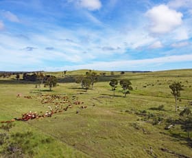 Rural / Farming commercial property sold at "Valencia" 1164 Camboon Road Harrami QLD 4630