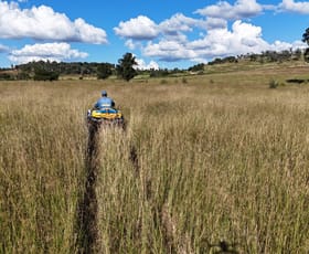 Rural / Farming commercial property for sale at Hidden Haven The Weir Road Proston QLD 4613