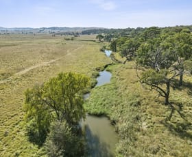 Rural / Farming commercial property for sale at 50 Carnells Lane Dalton Gunning NSW 2581