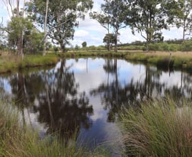 Rural / Farming commercial property for sale at 'Narrow Leaf' Ehrlicks Road Fairyland QLD 4413