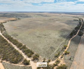 Rural / Farming commercial property for sale at 5 Morrison Plain Road Cowangie VIC 3506
