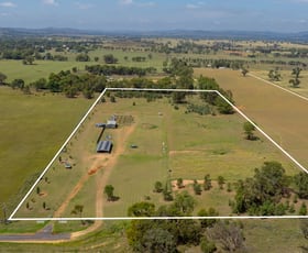 Rural / Farming commercial property for sale at 221 Black Lead Lane Gulgong NSW 2852