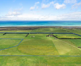 Rural / Farming commercial property for sale at 117 Aci Rd Wye SA 5291