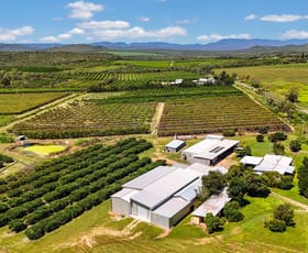Rural / Farming commercial property for sale at 119 McLeod Road Mutchilba QLD 4872