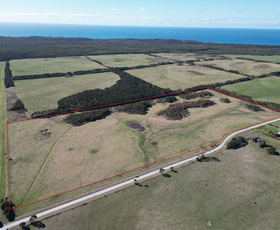 Rural / Farming commercial property for sale at Lot 1 Haines Road Egg Lagoon TAS 7256