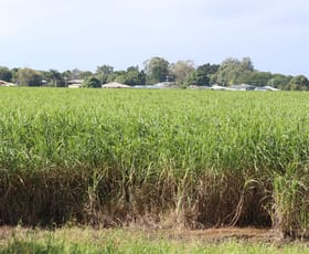 Rural / Farming commercial property sold at 76 Queen Street Bundaberg North QLD 4670