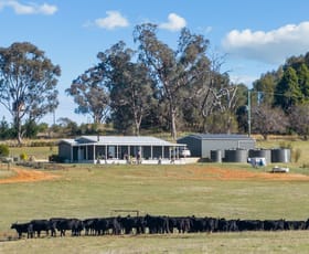 Rural / Farming commercial property for sale at "Hilltops" 262 Cooringle Road Harden NSW 2587