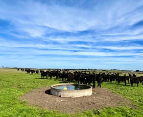 Rural / Farming commercial property sold at Timboon-Terang Road Ecklin South VIC 3265