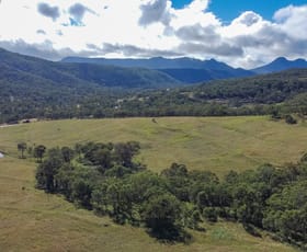 Rural / Farming commercial property for sale at 0 CUNNINGHAM HIGHWAY Tregony QLD 4370