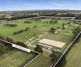 Rural / Farming commercial property for sale at 177 Coolart Road Hastings VIC 3915
