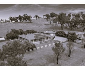 Rural / Farming commercial property sold at 39 Kalinda Road Armidale NSW 2350