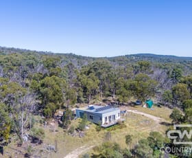 Rural / Farming commercial property for sale at 44 Yarraford Road Glen Innes NSW 2370