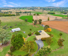 Rural / Farming commercial property for sale at 154 Elouera Road Cowra NSW 2794