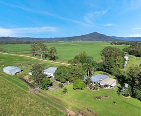 Rural / Farming commercial property for sale at 98 Williams Road Pinnacle QLD 4741
