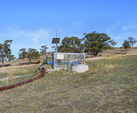 Rural / Farming commercial property for sale at Lot 1 & 2 Orielton Road Orielton TAS 7172