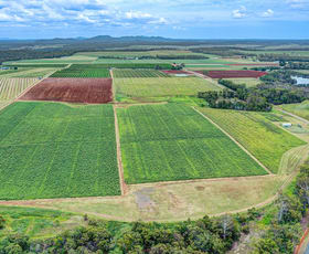 Rural / Farming commercial property for sale at 66 McLeods Road Bullyard QLD 4671