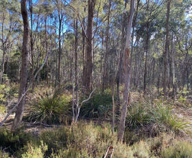 Rural / Farming commercial property sold at Lot 1 River Road Reedy Marsh TAS 7304