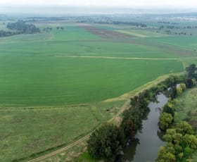 Rural / Farming commercial property for sale at 'Woodside' Mangoola Rd Denman NSW 2328