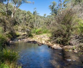Rural / Farming commercial property sold at 80 Oakey Forest Road Marrangaroo NSW 2790