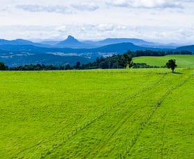 Rural / Farming commercial property sold at 889 Acacia Plateau Road Legume NSW 2476