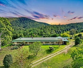 Rural / Farming commercial property for sale at 1536 Mount View Road Millfield NSW 2325