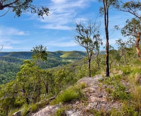 Rural / Farming commercial property for sale at 166 Knights Road Laguna NSW 2325