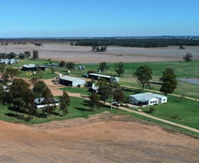 Rural / Farming commercial property for sale at 409 Bangalow Road Goondiwindi QLD 4390
