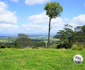 Rural / Farming commercial property sold at Lot 47 - 807 Tunglebung Creek Road Casino NSW 2470