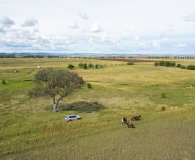 Rural / Farming commercial property for sale at 79 Barlow Road Greenmount QLD 4359