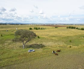 Rural / Farming commercial property sold at 79 Barlow Road Greenmount QLD 4359