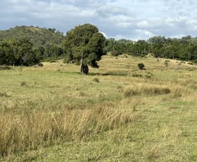 Rural / Farming commercial property for sale at Lot 46 Bunya Mountains Maclagan Road Rangemore QLD 4352