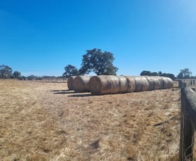 Rural / Farming commercial property for sale at Lots Marsh Road West Pinjarra WA 6208