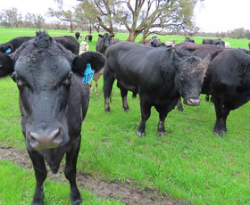Rural / Farming commercial property for sale at Lots Marsh Road West Pinjarra WA 6208